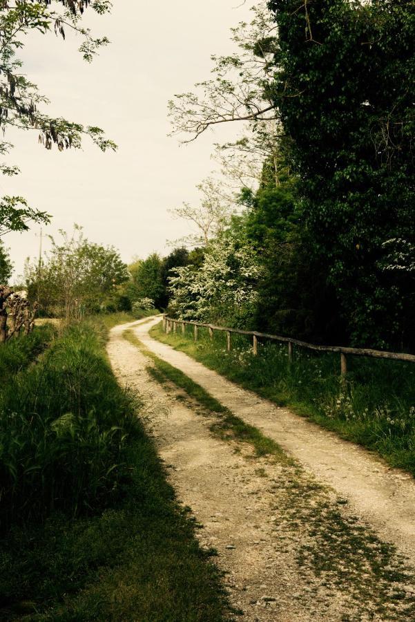 Natura Cavallino-Treporti Esterno foto