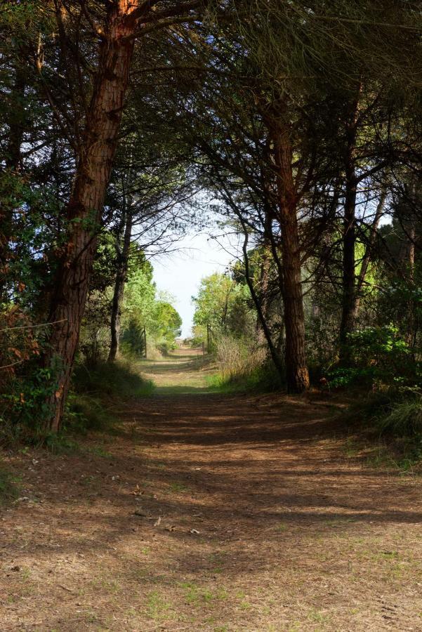 Natura Cavallino-Treporti Esterno foto